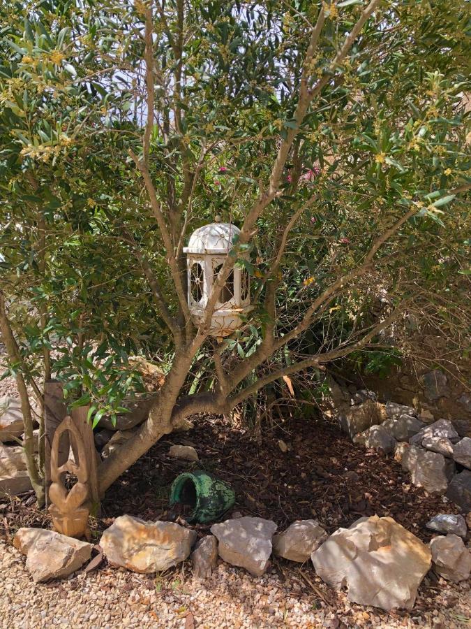 Tilley Lounge Cocoon Ξενοδοχείο Fitou Εξωτερικό φωτογραφία